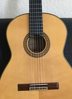 Gitarre